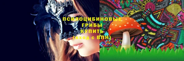 стафф Надым