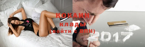 крисы Наволоки