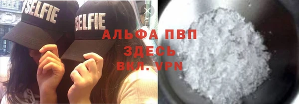 крисы Наволоки