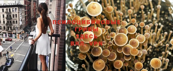 стафф Надым