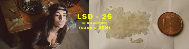 стафф Надым