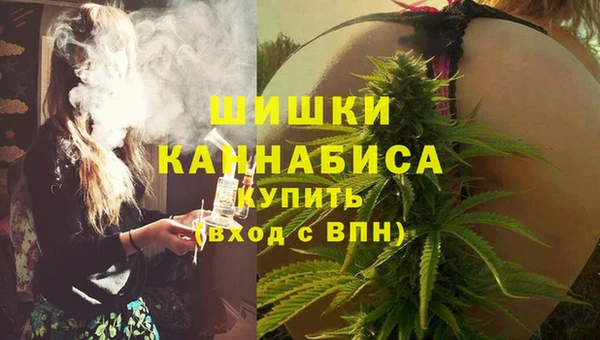 крисы Наволоки