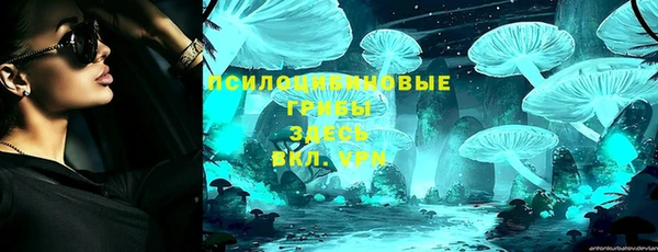 крисы Наволоки