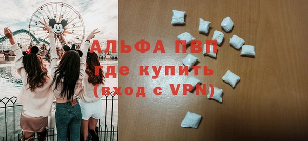стафф Надым