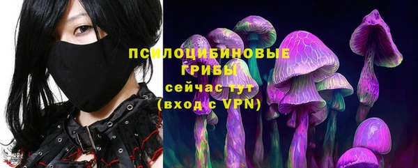 крисы Наволоки