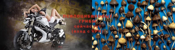 крисы Наволоки