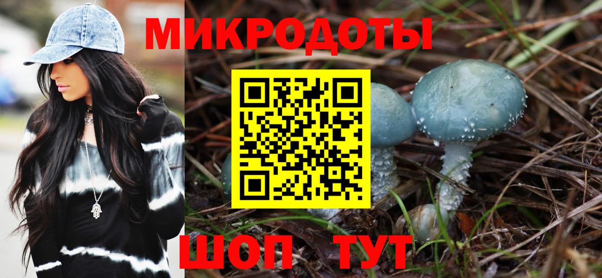 Камышин  Псилоцибиновые грибы GOLDEN TEACHER  Вход с VPN 
