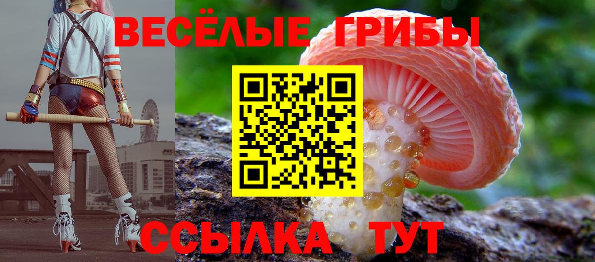 Псилоцибиновые грибы MAGIC MUSHROOMS Камышин