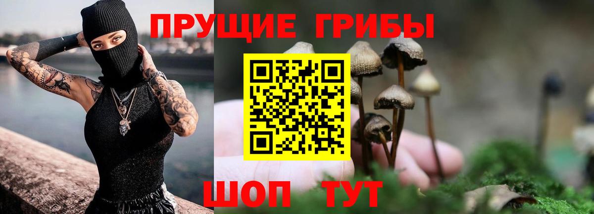 Камышин  Галлюциногенные грибы Psilocybine cubensis  Вход с VPN  Псилоцибиновые грибы Magic Shrooms 