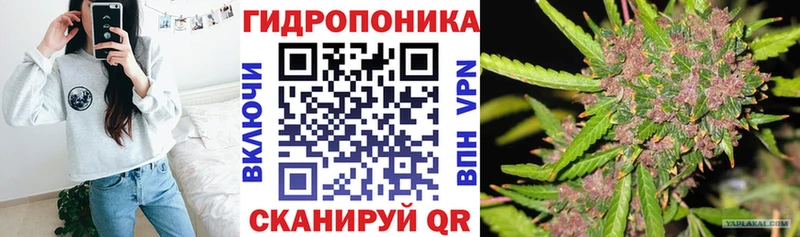 Каннабис LSD WEED  где продают наркотики  Камышин 