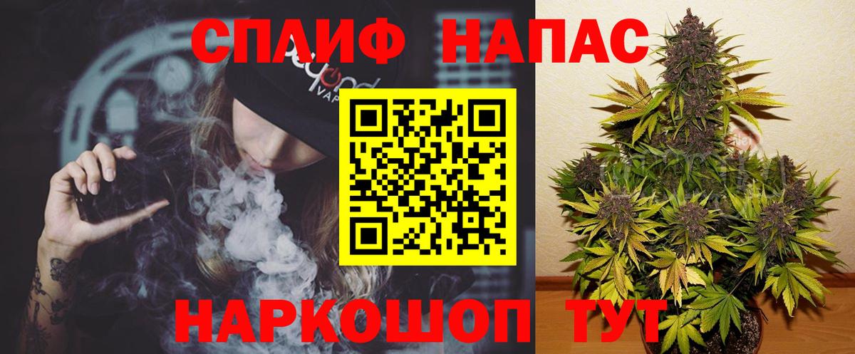 Камышин  Конопля гибрид  Вход с VPN  Каннабис THC 21%  Канабис планчик  МАРИХУАНА конопля 